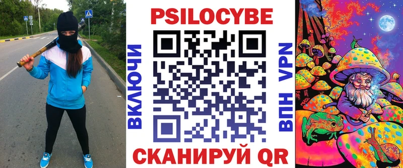 купить Шенкурск ссылка на мегу как зайти Псилоцибиновые грибы Psilocybe