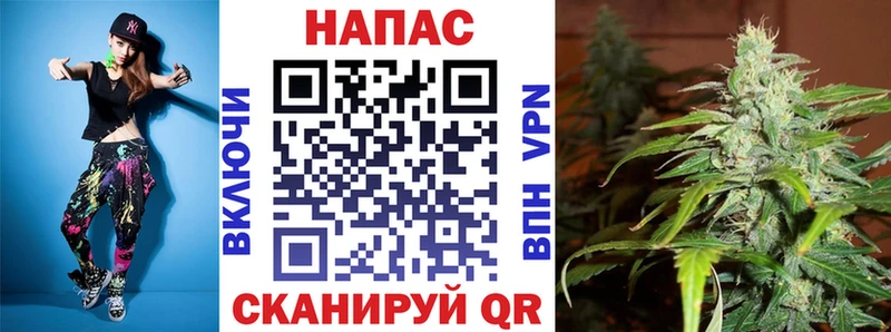 mega сайт Шенкурск Бошки марихуана SATIVA & INDICA